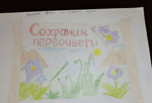 сохраним первоцветы сохраним первоцветы.