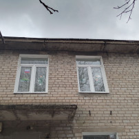 Украсим наши окна Украсим наши окна.