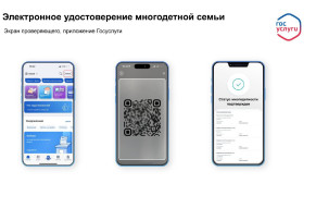 Электронное удостоверение многодетной семьи Электронное удостоверение многодетной семьи.