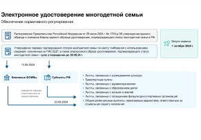 Электронное удостоверение многодетной семьиПортал государственных услуг Российской Федерации esia.gosuslugi.ru Электронное удостоверение многодетной семьиПортал государственных услуг Российской Федерации esia.gosuslugi.ru.